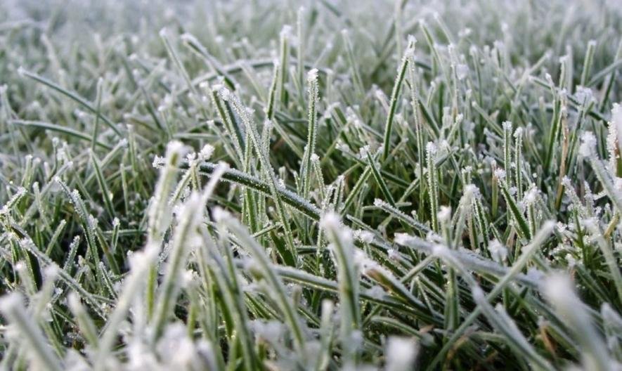 У Запоріжжі похолодає: очікуються невеликі дощі і заморозки