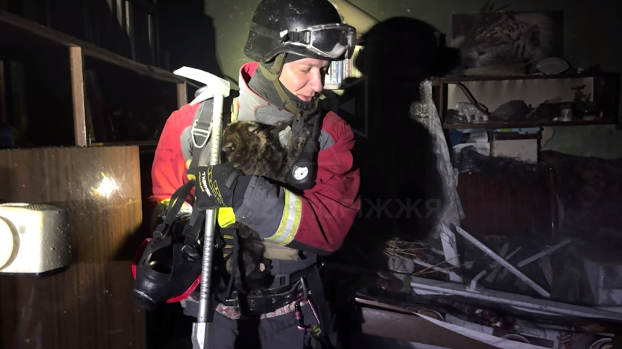 У Запоріжжі рятувальники ДСНС врятували трьох котів із зруйнованої багатоповерхівки після нічного обстрілу