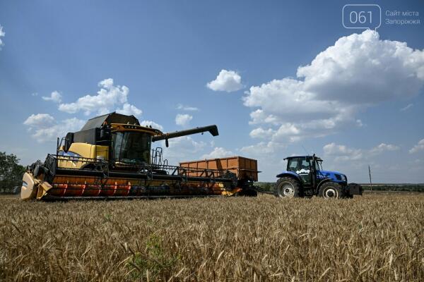Понад 1,8 тисячі гектарів посівів знищено: російські атаки завдали нових втрат аграріям Запорізької області