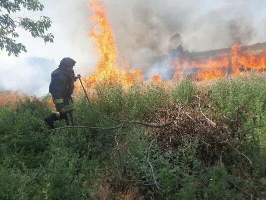 У Запорізькій області після ворожих атак виникло п’ять пожеж: горіли хлібні поля, будівля та автівка