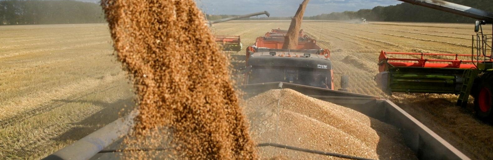 У Запорізькій області окупанти викрали вже 1,4 мільйона тонн зерна