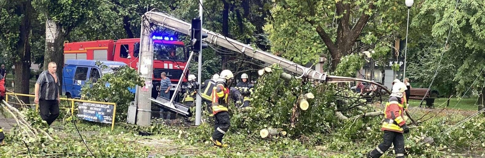 В Запоріжжі через негоду впало дерево та електроопора, заблокувавши рух транспорту, - ФОТО