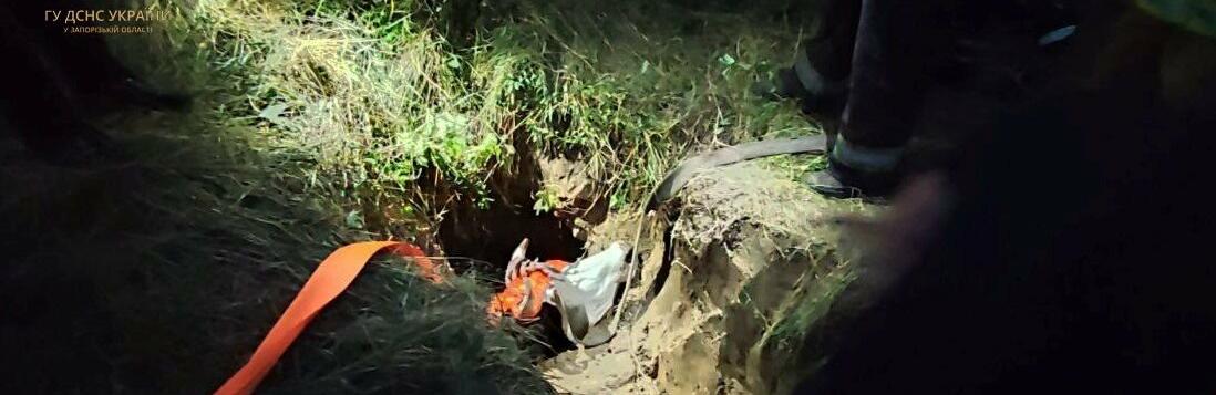 У Запоріжжі врятували корову, яка провалилась у відкритий люк