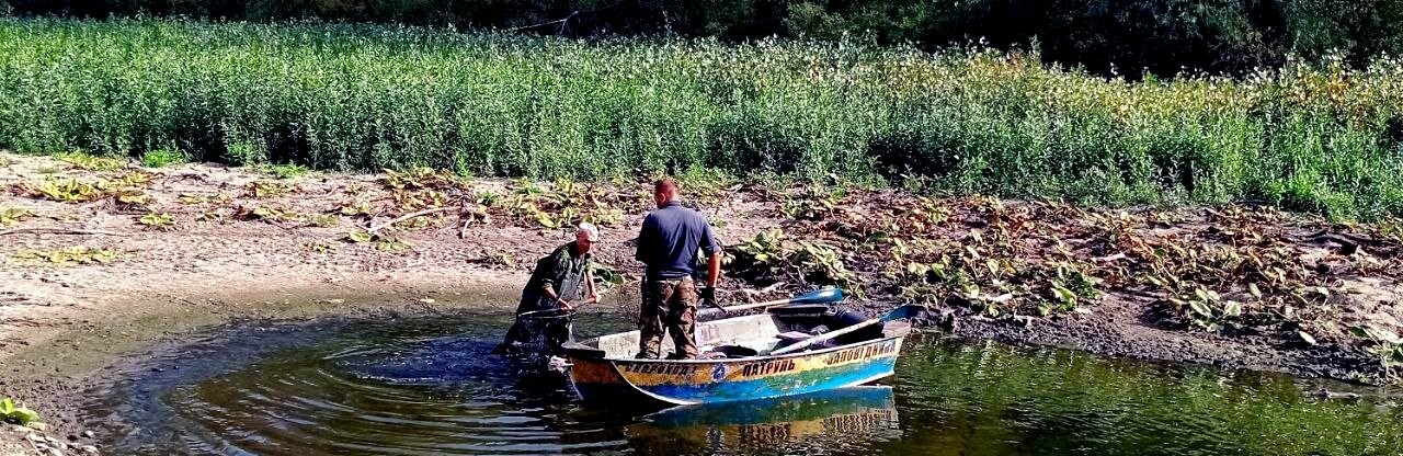  На Хортиці рятують від задухи рибу, яка опинилась в змілілій заплаві 