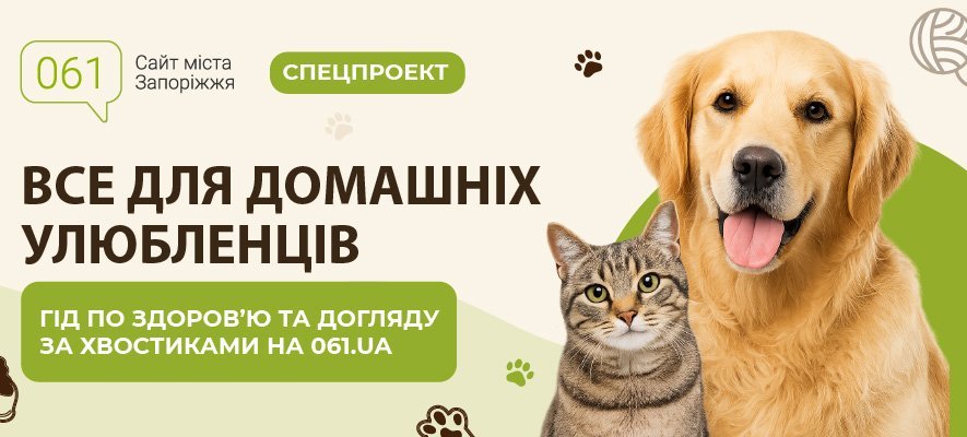 Все для домашніх улюбленців: гід по здоров’ю та догляду за хвостиками Все для домашніх улюбленців: гід по здоров’ю та догляду за хвостиками