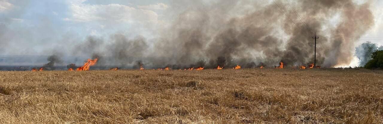 Внаслідок ворожих обстрілів на Запоріжжі горять поля з врожаєм