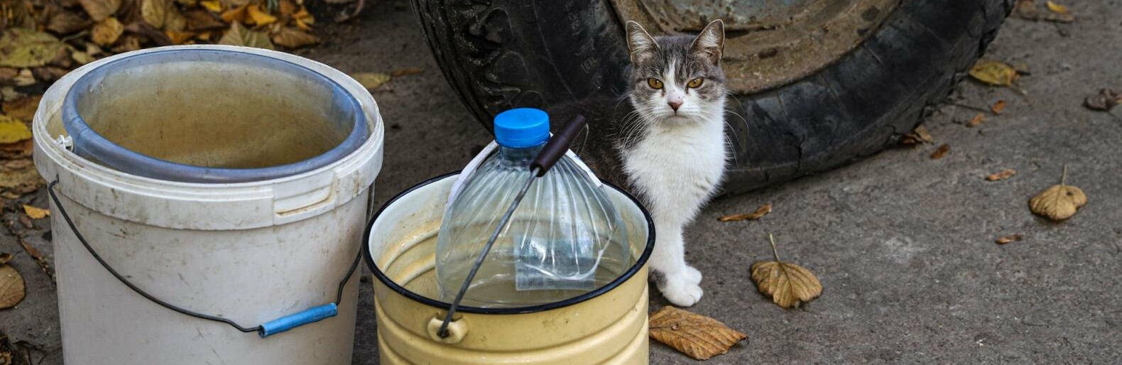 Вода у відрах, буржуйки в підвалах: як живе прифронтовий Степногірськ, - ФОТОРЕПОРТАЖ 