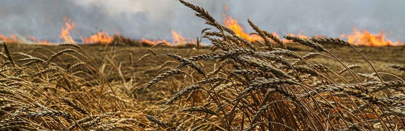 У Запорізькій області через артобстріли спалахнули три пожежі на відкритій місцевості