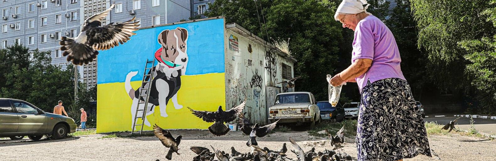 Патрон на варті: в Запоріжжі створюють мурал з найвідомішим псом країни, - ФОТОРЕПОРТАЖ 