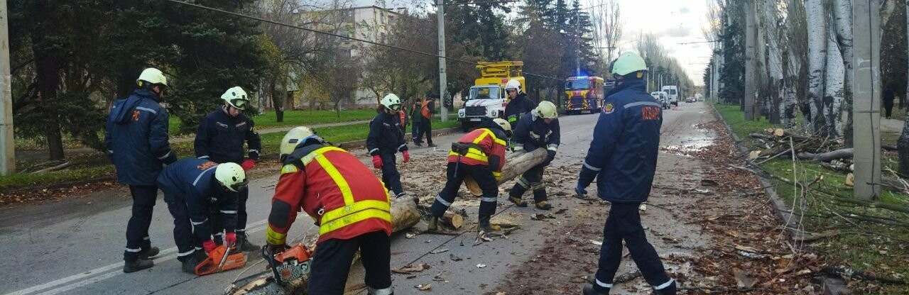 У Запоріжжі через негоду повалило дерева на проїжджі частини 