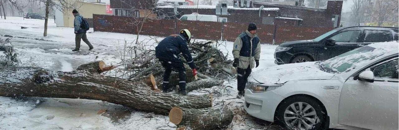  У Запоріжжі через негоду повалило 65 дерев