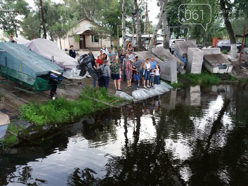 Каховское водохранилище фото