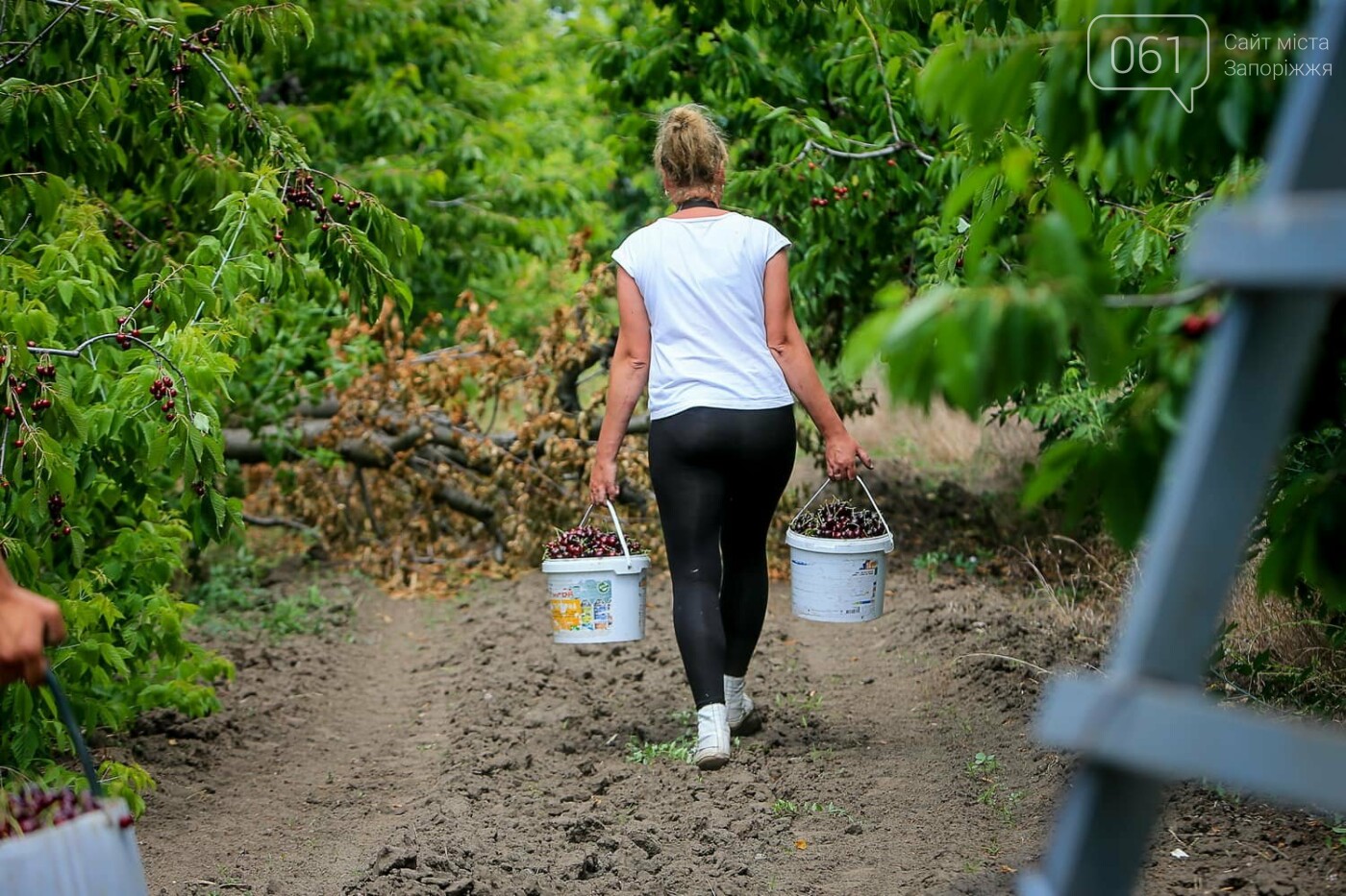 Фото дачниц на грядках