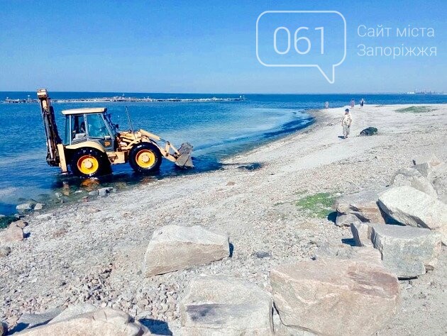 Пляжи Бердянска снова покрываются водорослями — экологи гов..., фото-1 Пляжи Бердянска снова покрываются водорослями — экологи говорят, что они не опасны для людей, фото-1