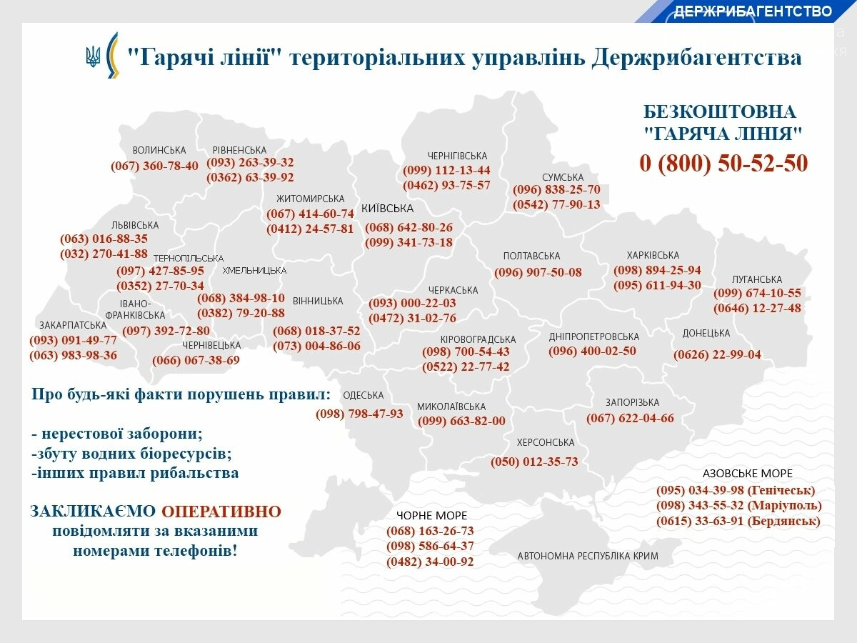 Миллионные убытки и тысячи нарушений: рыбоохранный патруль..., фото-2 Миллионные убытки и тысячи нарушений: рыбоохранный патруль проводит рейды, фото-2