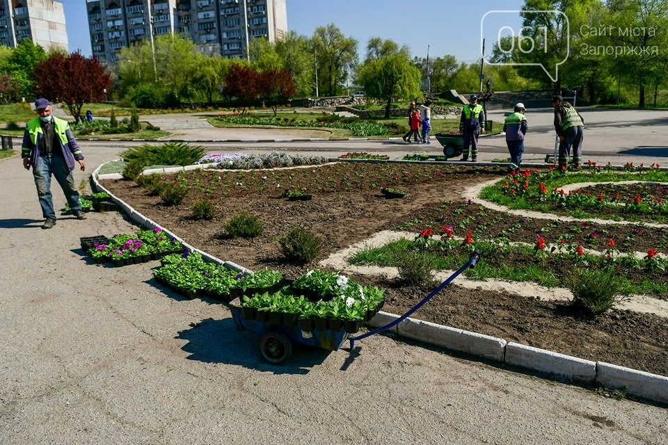 Что в первую очередь высаживают в огороде 100 к 1 андроид