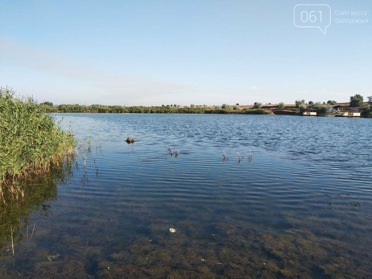 Ставков на. Фото ставок. Ставок из воды. Водоемы Запорожской области сегодня. Белозерка рыба.