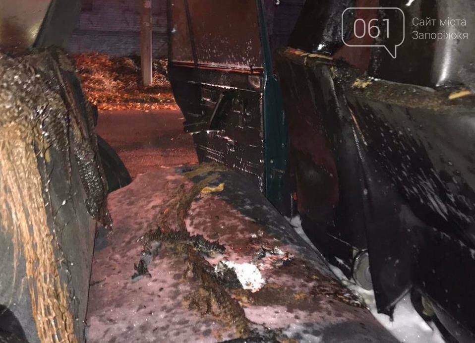 В Запорожье 8 спасателей тушили загоревшийся автомобиль «Жигули», фото-1
