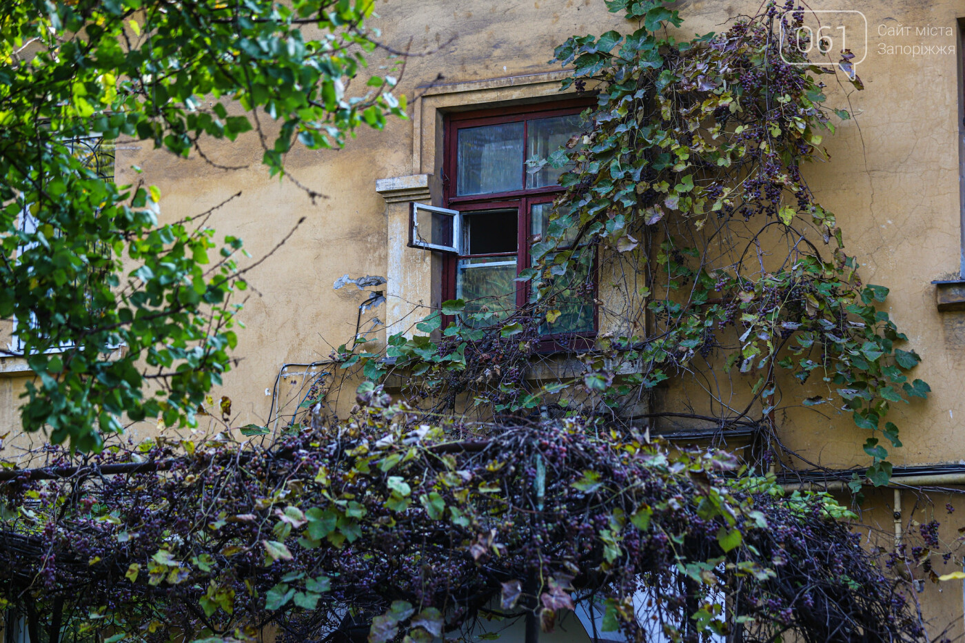 Осень в Запорожье