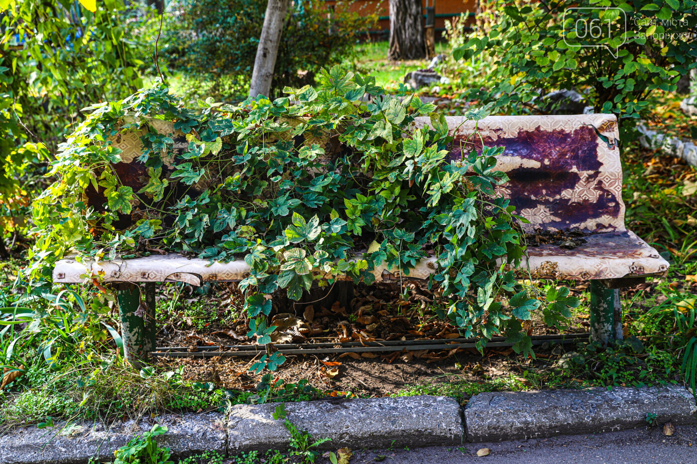 Осень в Запорожье