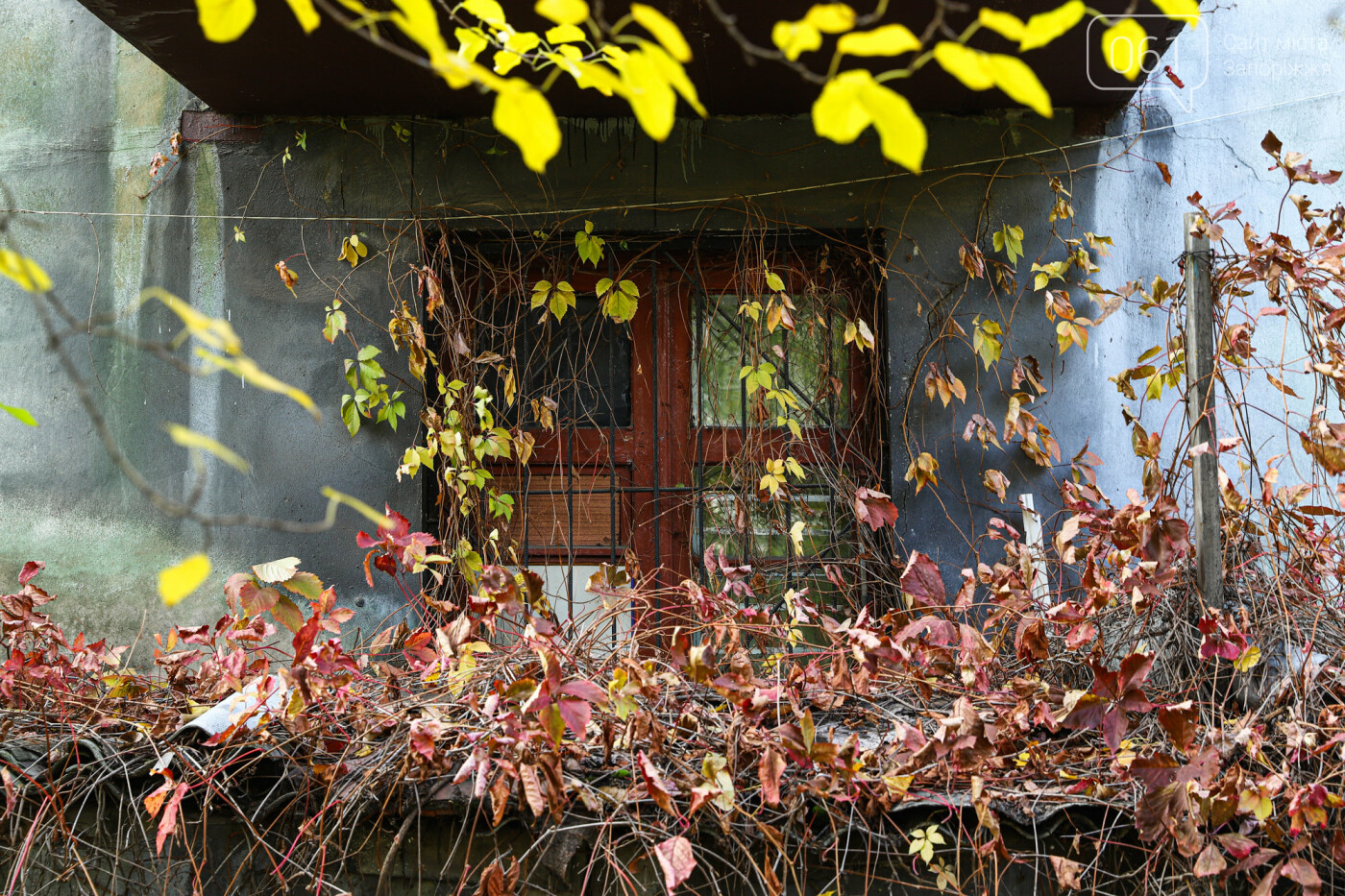 Осень в Запорожье
