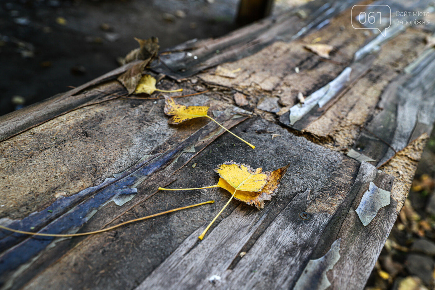 Осень в Запорожье Осень в Запорожье