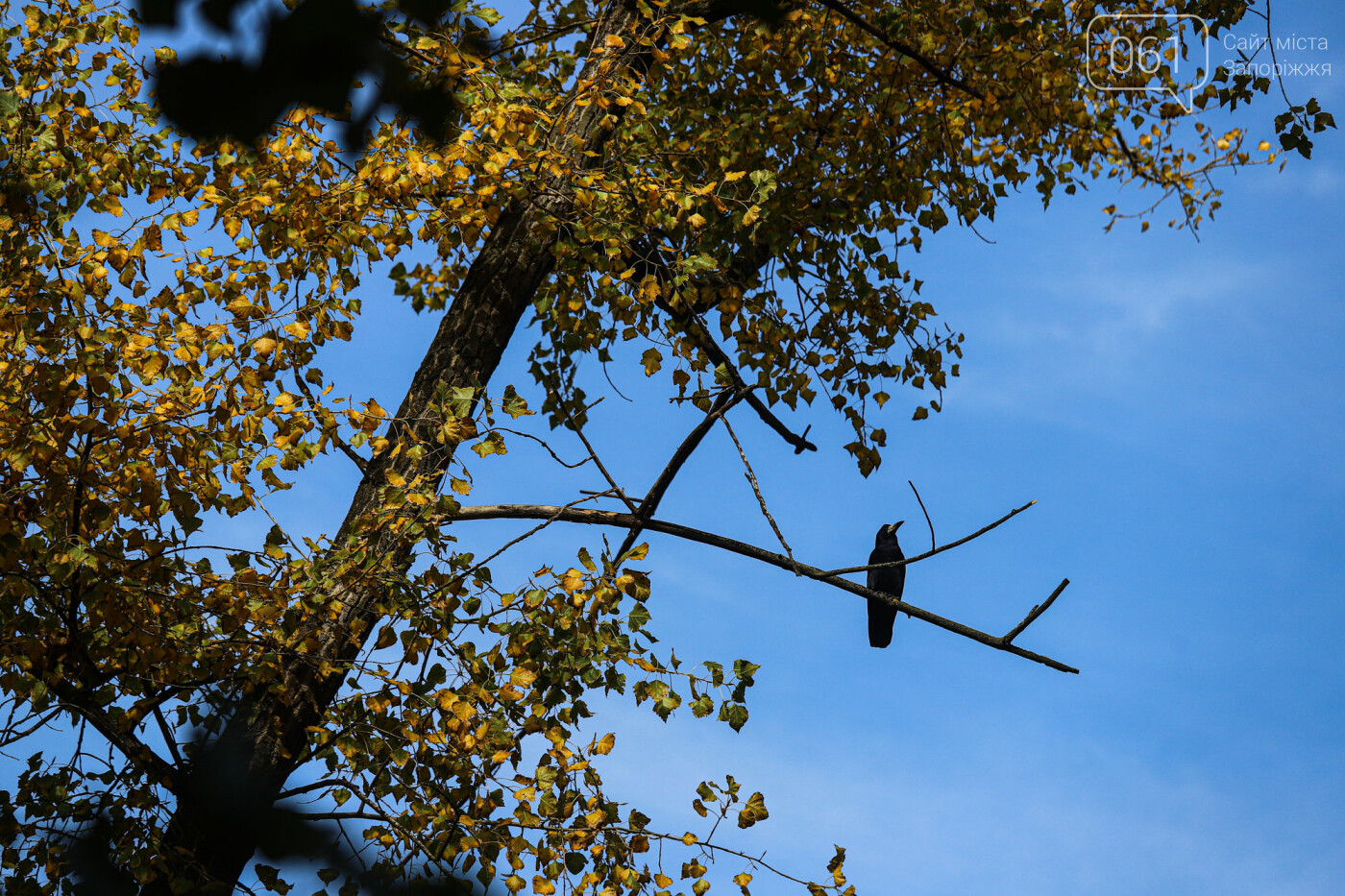 Осень в Запорожье
