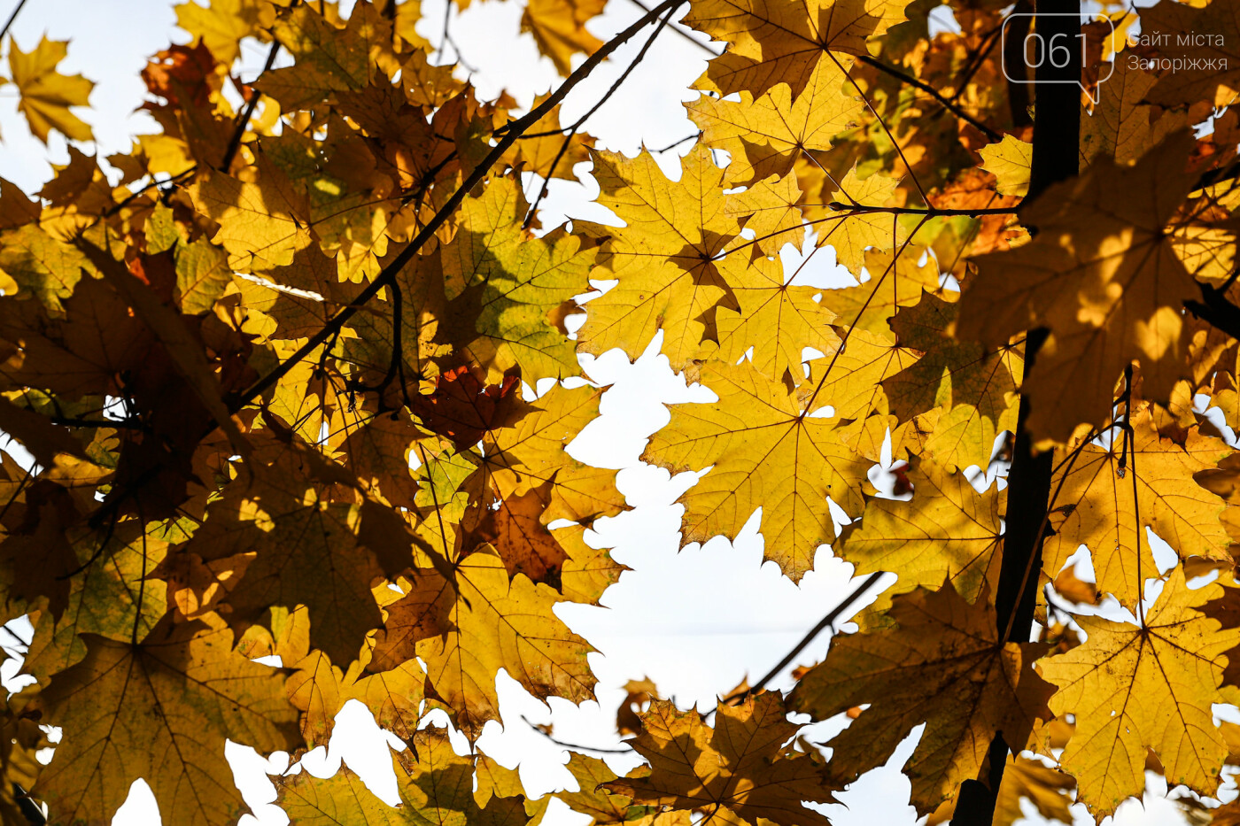 Осень в Запорожье