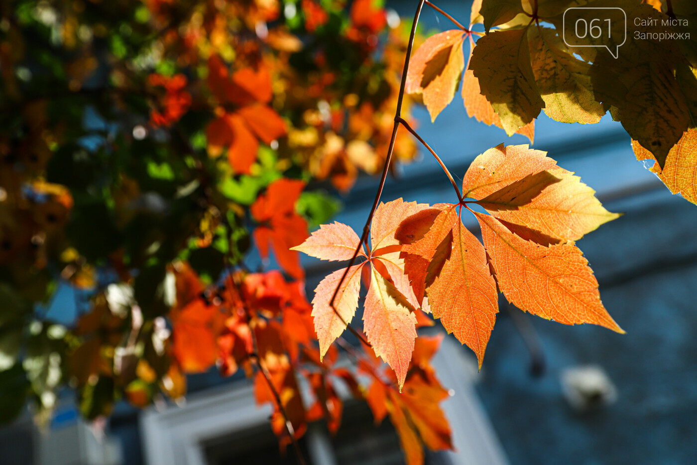 Осень в Запорожье