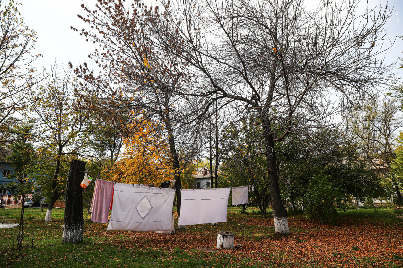 Осень в Запорожье