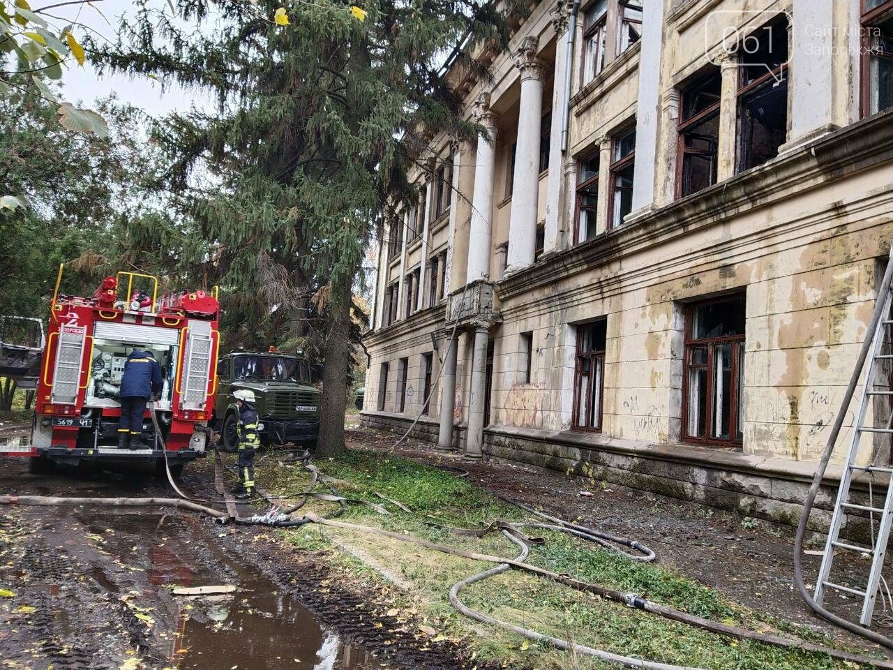 На Хортице горело здание заброшенного ЦИМЕЖА - с огнем боролись 14 спасателей, фото-2