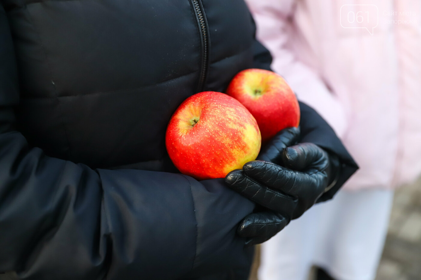 Свечи, цветы и яблоки: в Запорожье прошла акция в память о жертвах Голодоморов, - ФОТОРЕПОРТАЖ , фото-8
