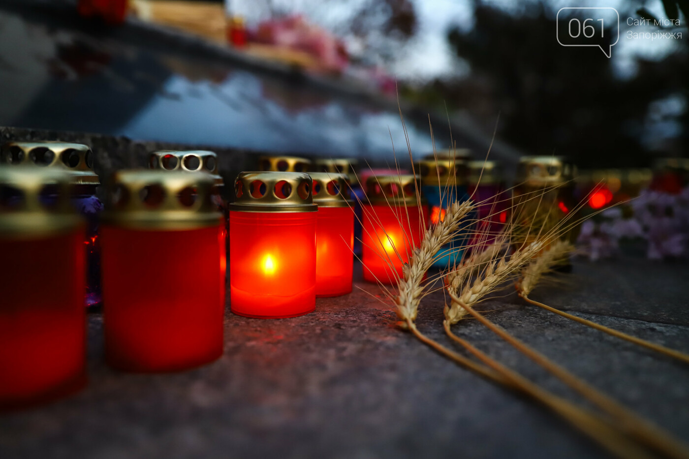 Свечи, цветы и яблоки: в Запорожье прошла акция в память о жертвах Голодоморов, - ФОТОРЕПОРТАЖ , фото-13