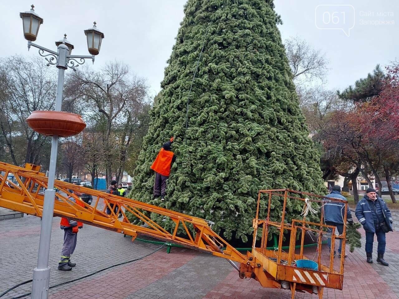 В Запорожье начали монтировать главную городскую елку на площади Маяковского, – ФОТО, фото-4