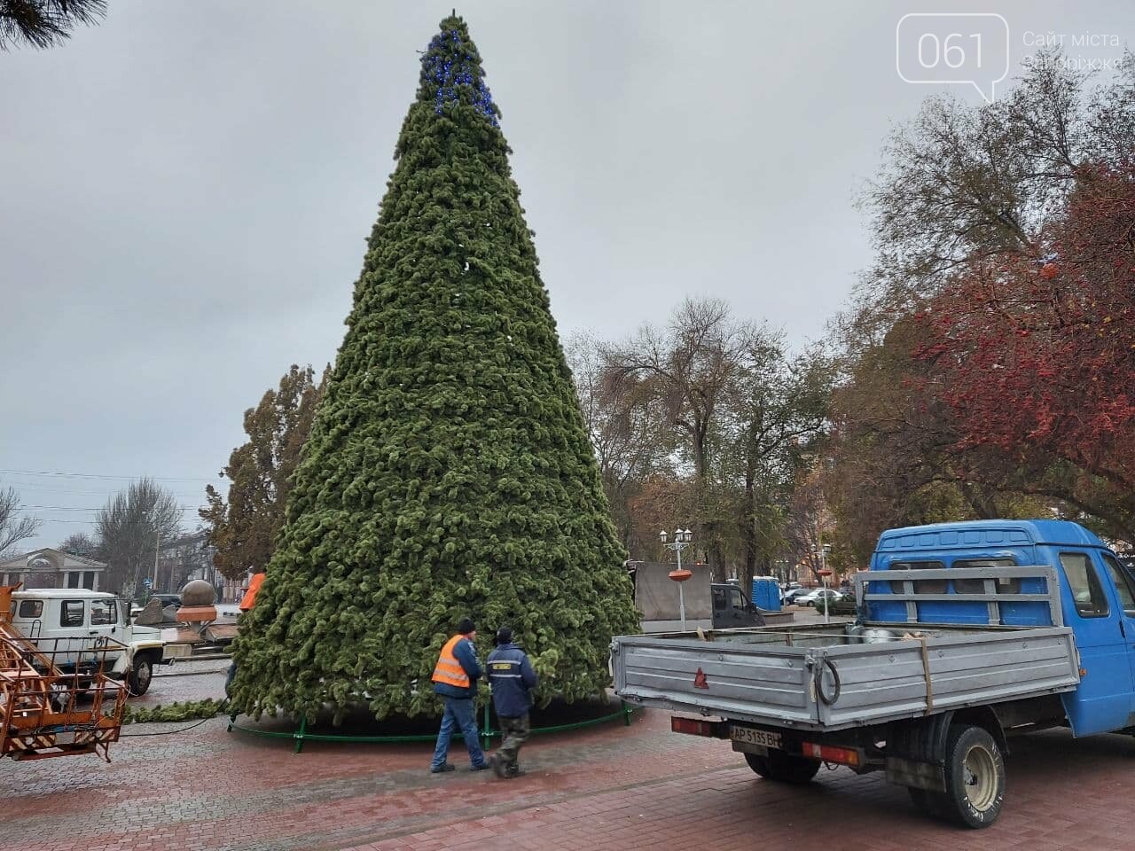 В Запорожье начали монтировать главную городскую елку на площади Маяковского, – ФОТО, фото-3