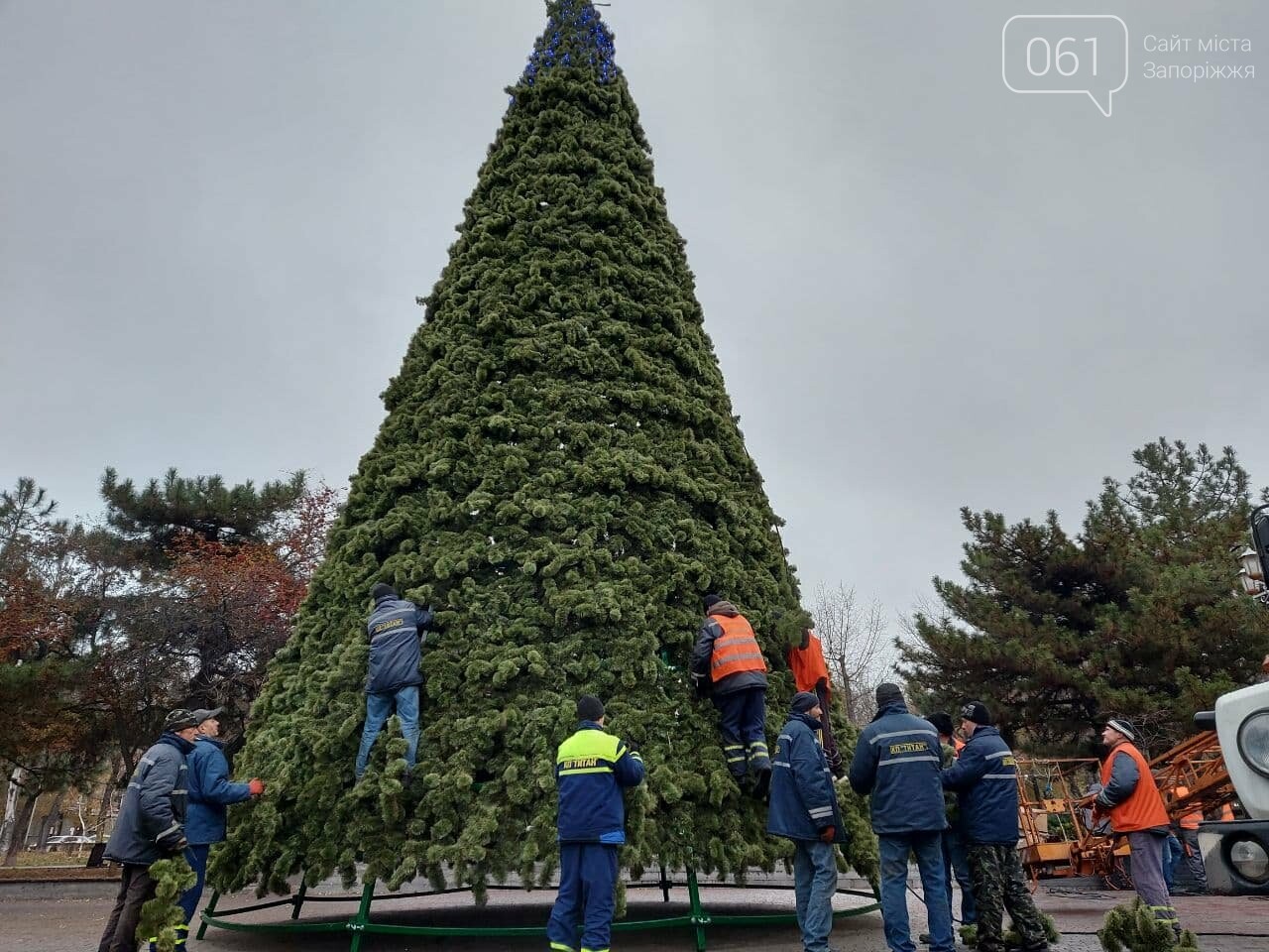 В Запорожье начали монтировать главную городскую елку на площади Маяковского, – ФОТО, фото-1