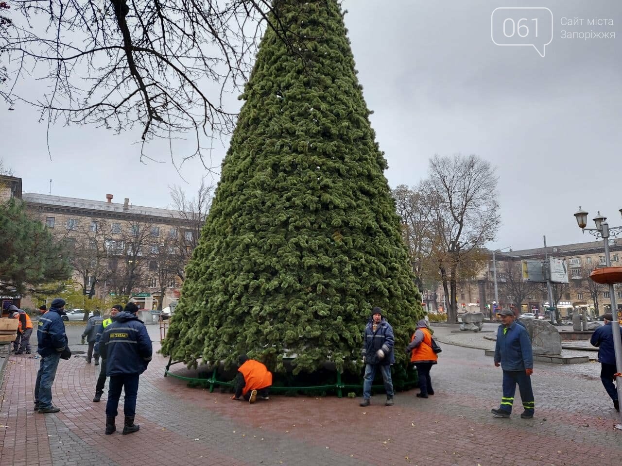 В Запорожье начали монтировать главную городскую елку на площади Маяковского, – ФОТО, фото-5