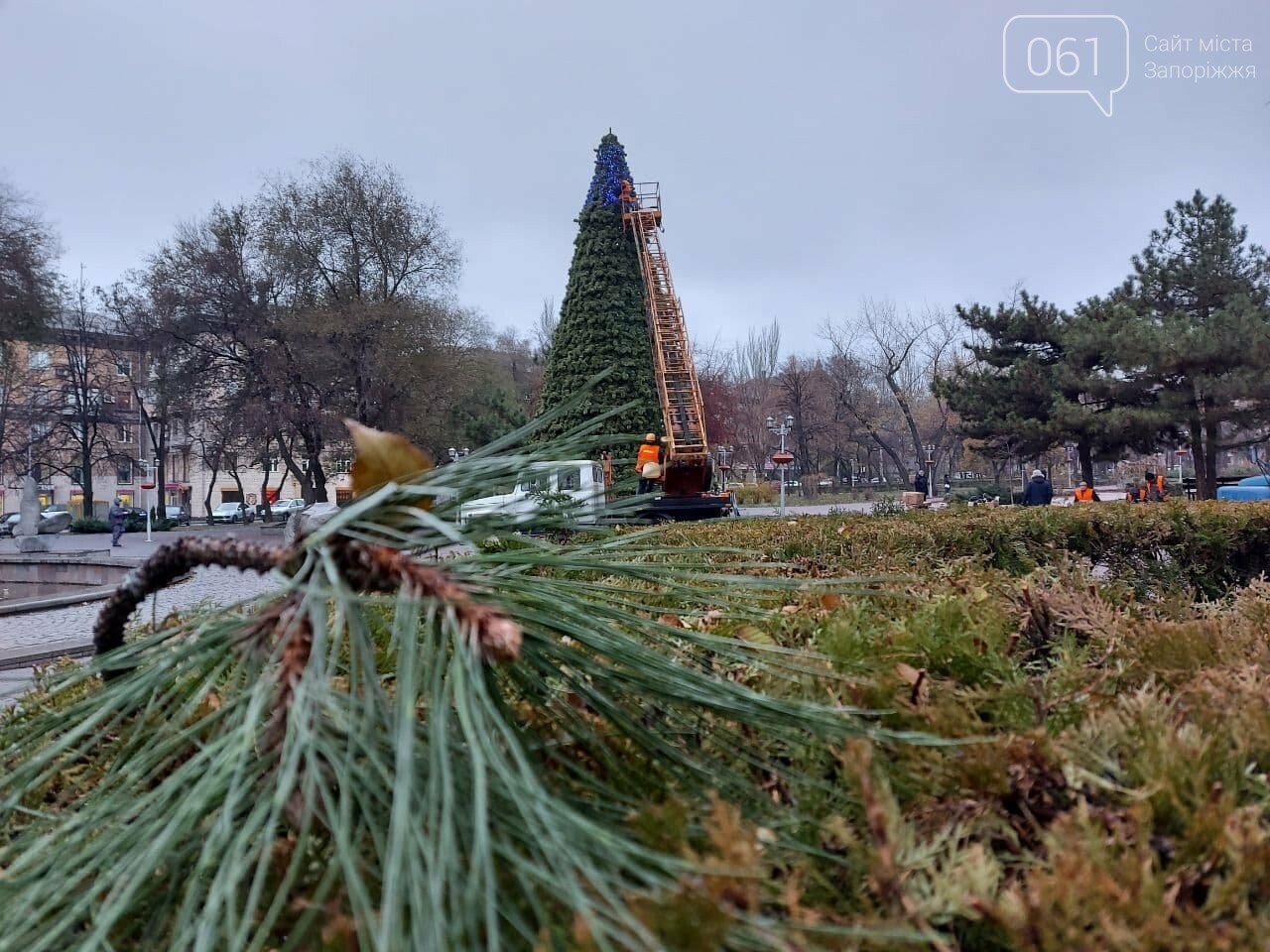 В Запорожье начали монтировать главную городскую елку на площади Маяковского, – ФОТО, фото-12