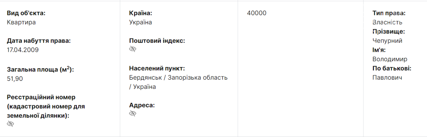 Экс-мэр Бердянска Владимир Чепурной задекларировал перед увольнением доход почти в миллион гривен, фото-2