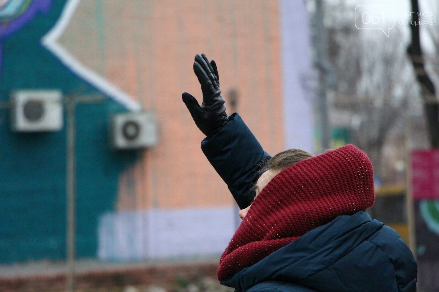 В Запорожье в сквере Театральном установили 12-метровую елку, фото-5