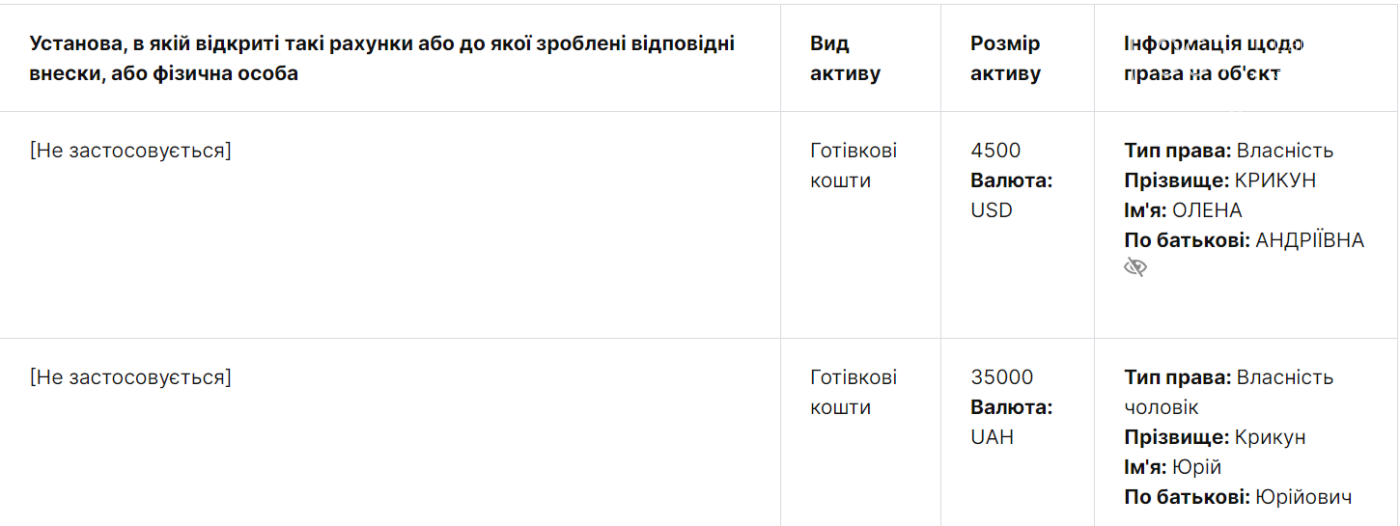 Депутатка Запорожского облсовета и студентка задекларировала недвижимость в Киеве и зарплату мужа в аппарате ВРУ, фото-2