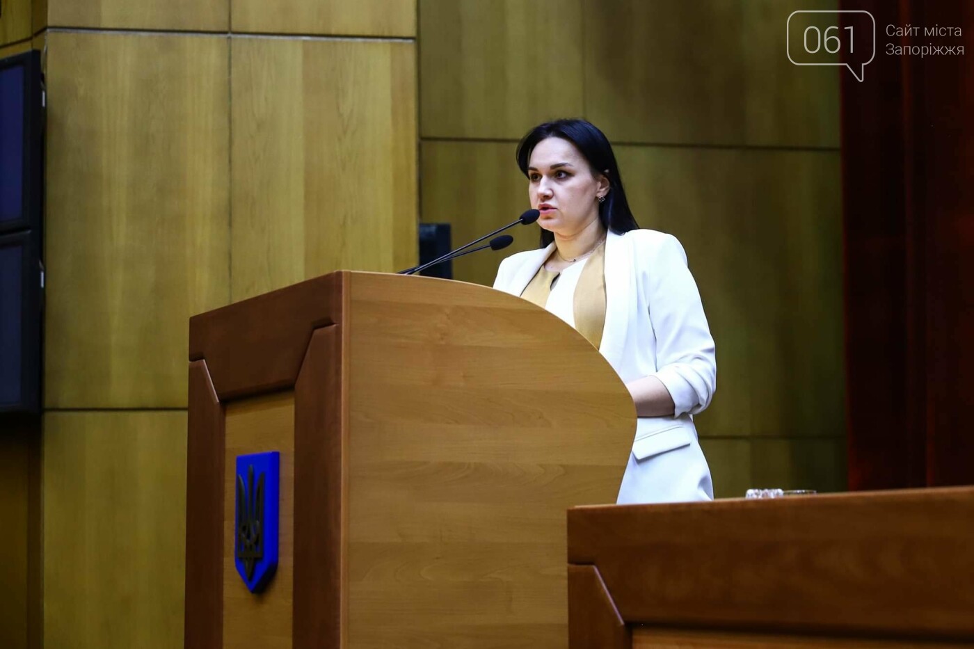 Глава Запорожского облсовета подал в отставку  , фото-8