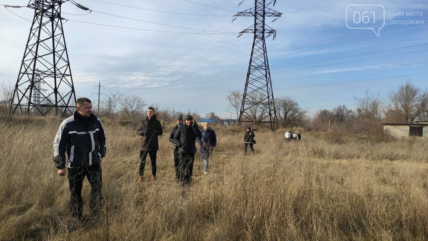 В Запорожье десятки волонтеров ищут потерявшегося мопса, который испугался новогодних салютов , фото-1