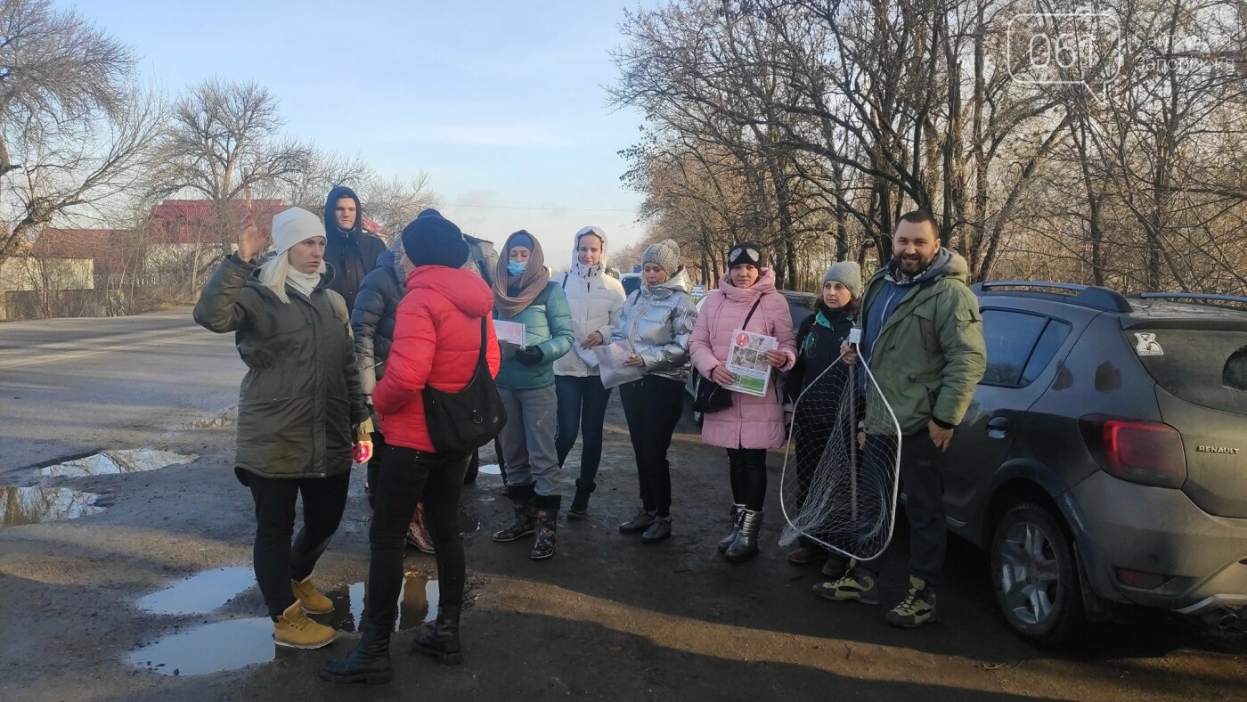 В Запорожье десятки волонтеров ищут потерявшегося мопса, который испугался новогодних салютов , фото-2