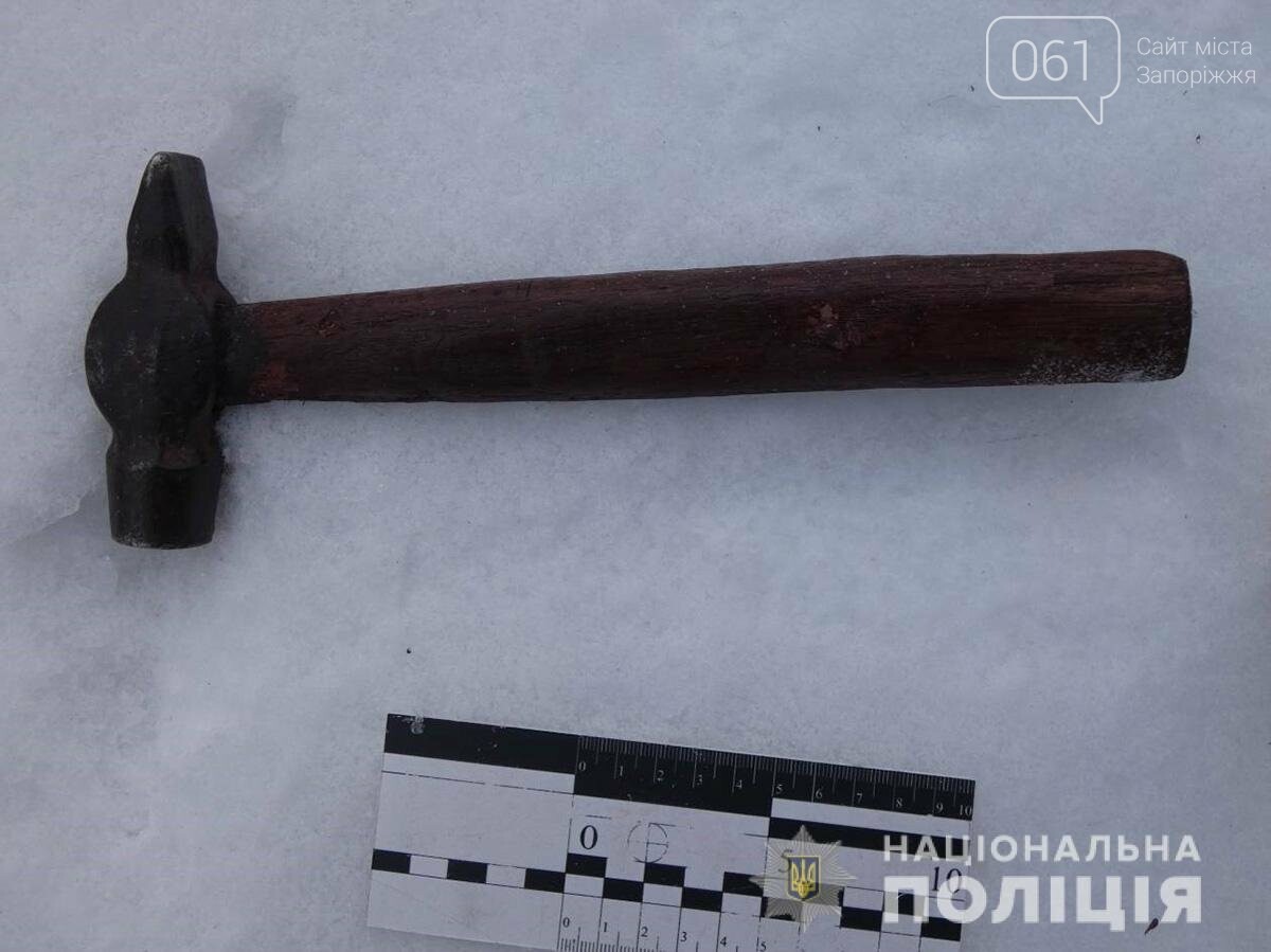 В Запорожской области рецидивисты напали на супругов: мужчину убили молотком, а женщину связали и ограбили , фото-1