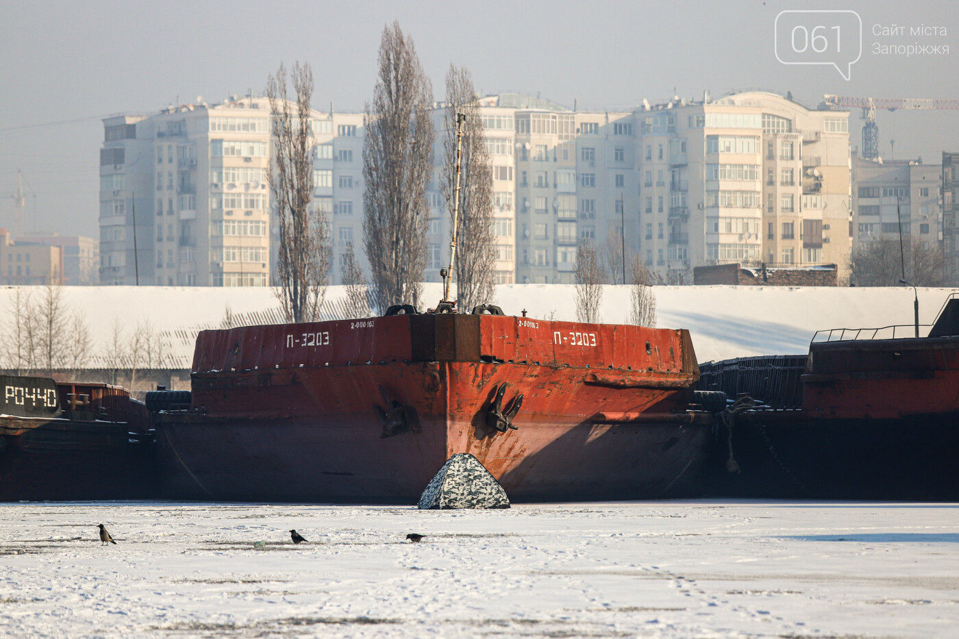 Баржи во льду, рыбаки с таранью и котики: фоторепортаж из зимней Кривой бухты, фото-40