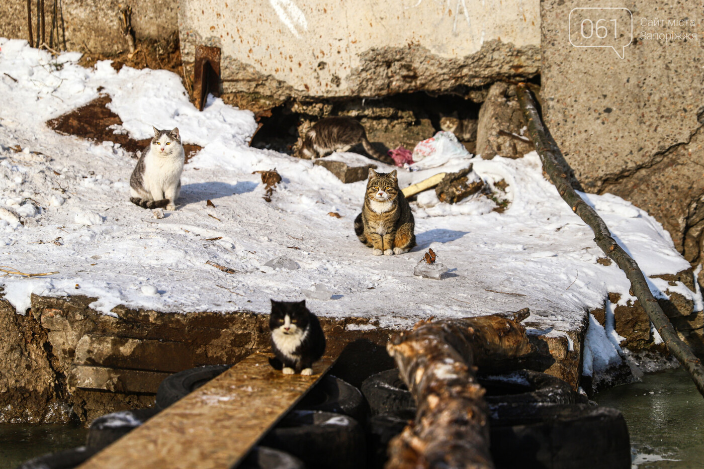 Баржи во льду, рыбаки с таранью и котики: фоторепортаж из зимней Кривой бухты, фото-71