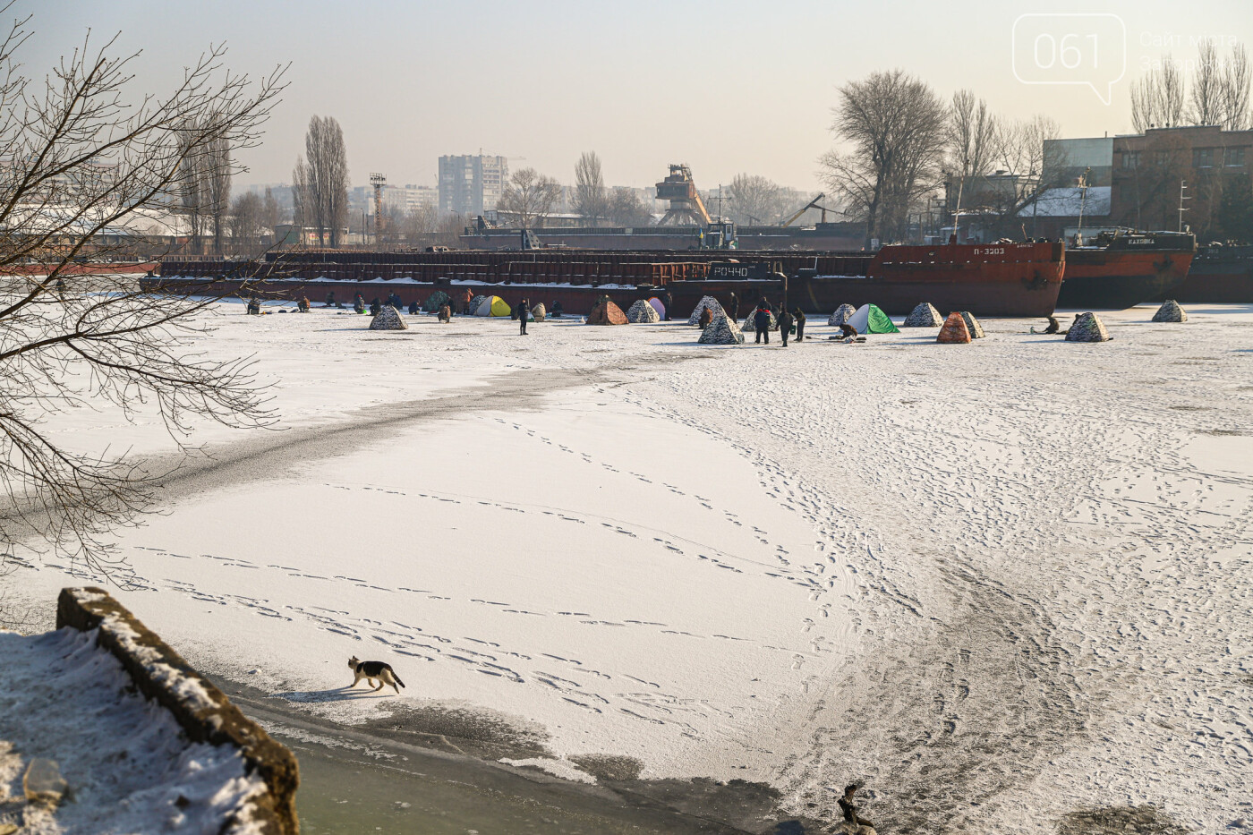 Баржи во льду, рыбаки с таранью и котики: фоторепортаж из зимней Кривой бухты, фото-74