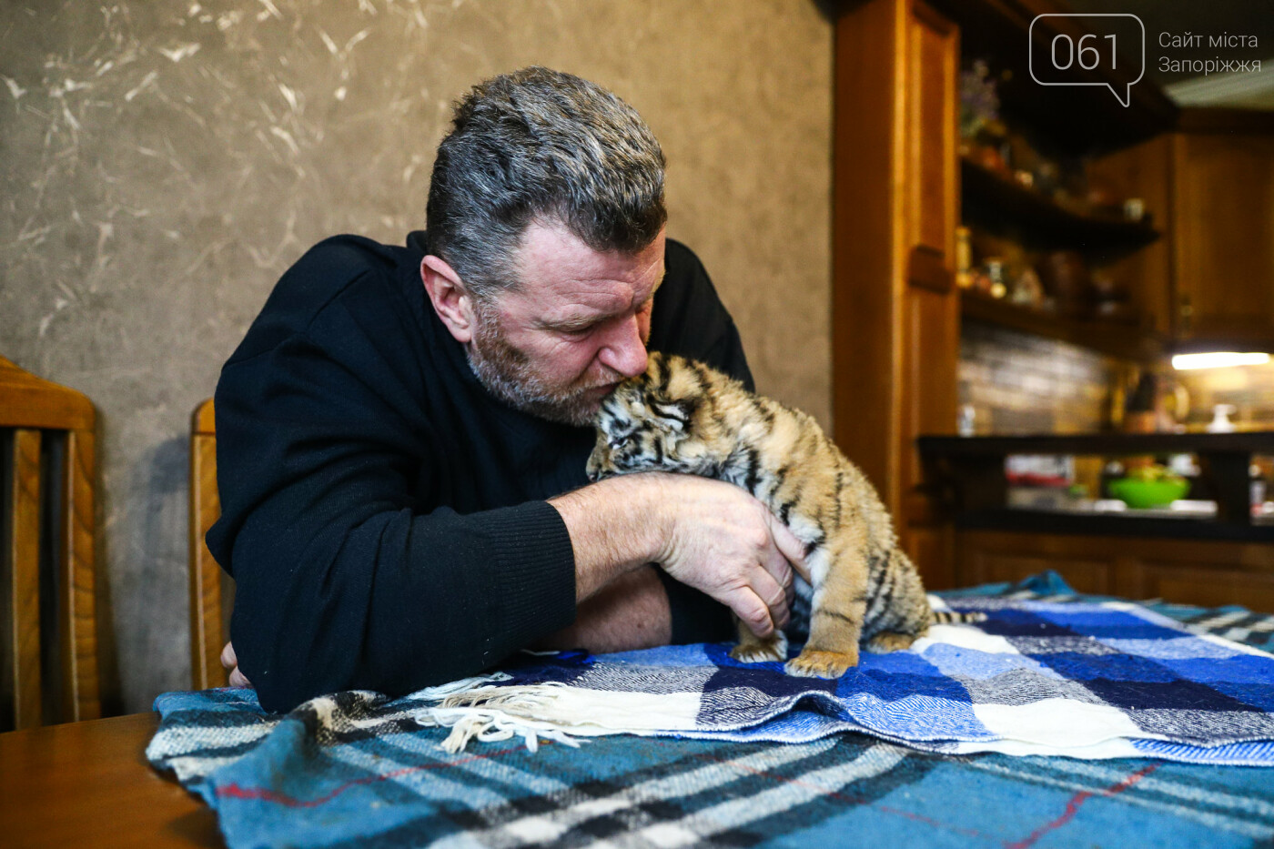 В Васильевке выхаживают тигрят и львенка, от которых отказались мамы, - ФОТО, ВИДЕО, фото-16