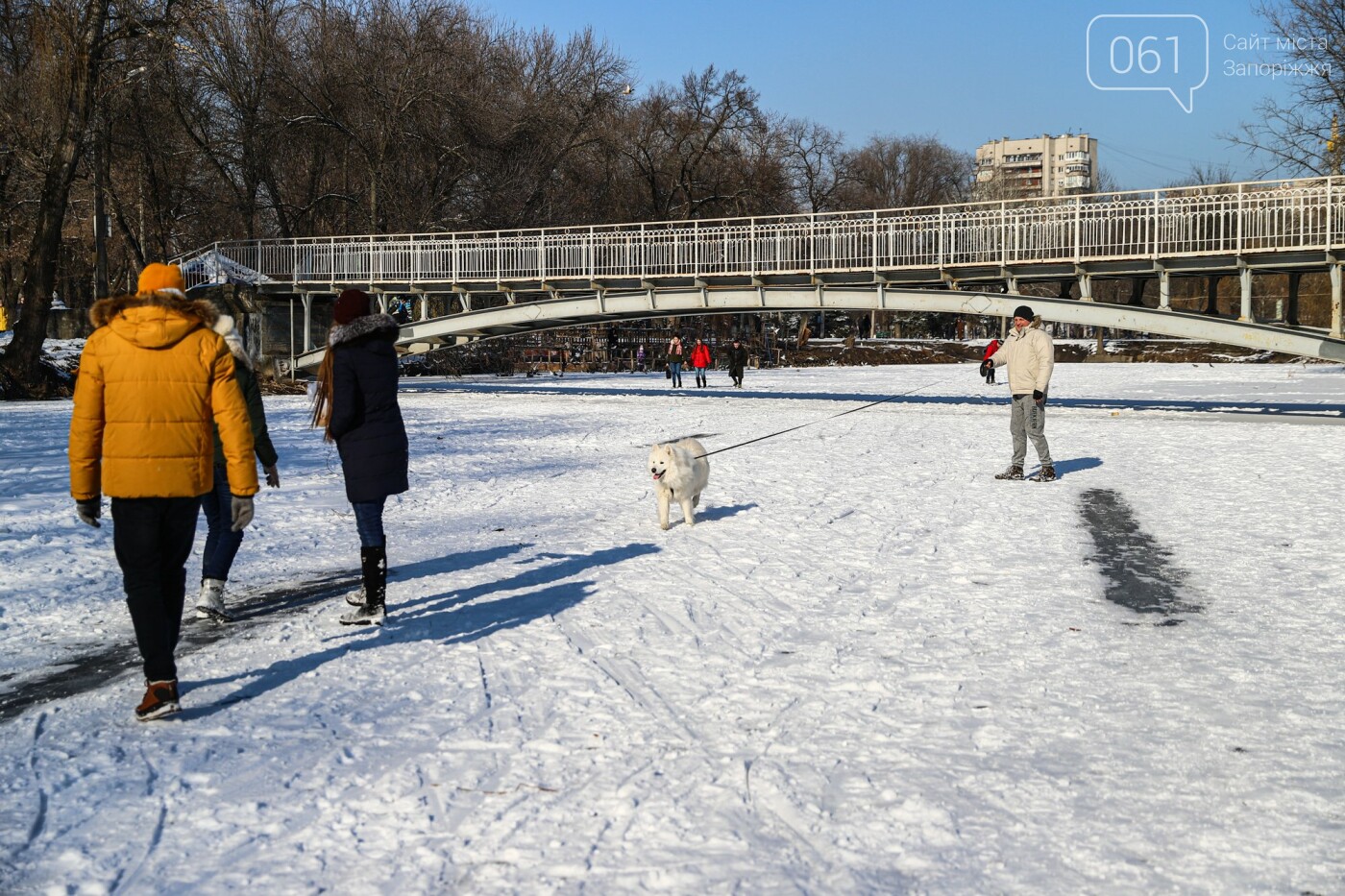 Хоккей, собака-фотомодель и голодные утки: фоторепортаж о зимней "Дубовой роще", фото-20